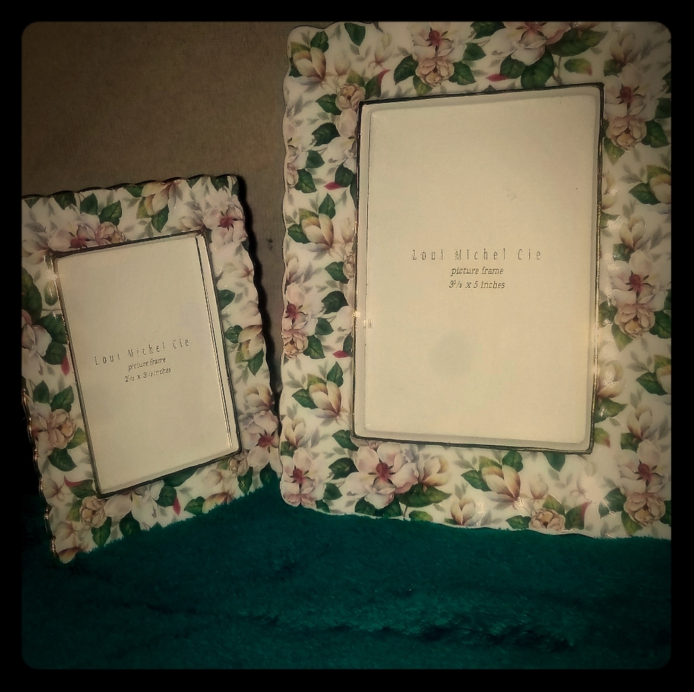 2 magnolia picture frames
